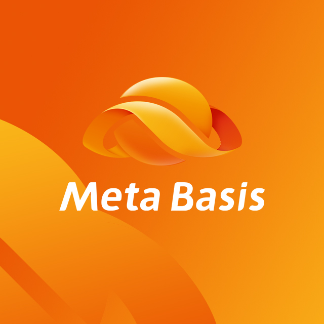 Meta Basis